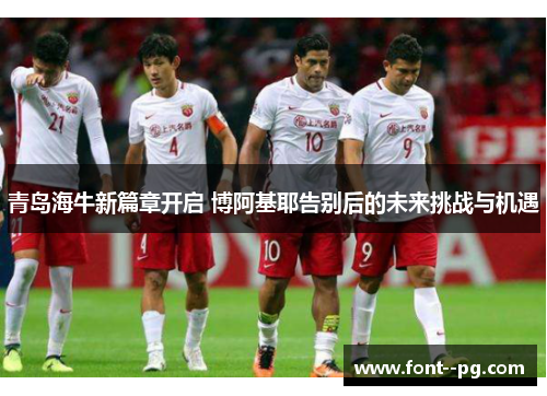青岛海牛新篇章开启 博阿基耶告别后的未来挑战与机遇