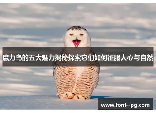 魔力鸟的五大魅力揭秘探索它们如何征服人心与自然