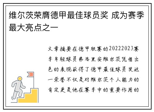 维尔茨荣膺德甲最佳球员奖 成为赛季最大亮点之一